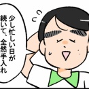涼しい夏になりそう