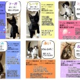 ホップ、ステップ、ジャンプ！の前の準備運動