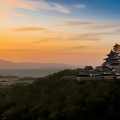 桔梗の城 坂本城－❺－　本能寺の変