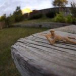 ことわざの一部を「狙撃」に変えるとスナイパーになる