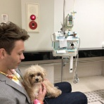 Minoruのla vida cotidiana