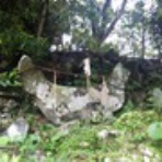 最強ナルちゃんへの道