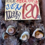 爆安！！ 鮮魚•青果販売 爆安の殿堂 道産魚工房   【どさんここうぼう】札幌市北区北24条西17丁目3-3 新川通沿い。