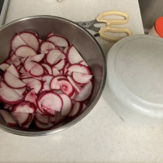 おてんば88歳・・日々録