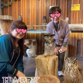 母とフクロウカフェへ☆