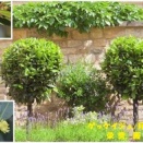 暦‐2025年12月18日