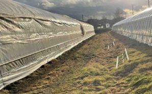 10年は持つ ハウス張り替え完了