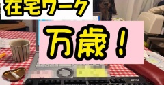 とうとうこんな感じ。