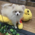 生体ブログ