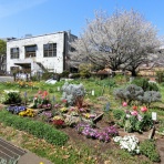 たまちゃんライフ