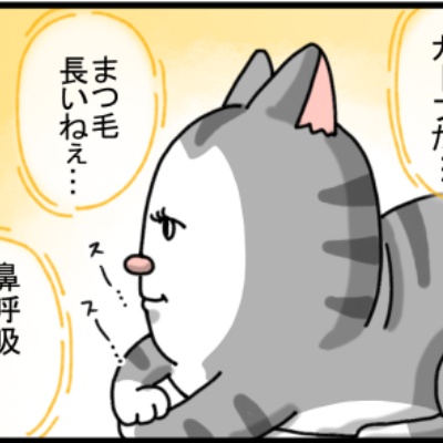 まめきちまめこニートの日常 Powered by ライブドアブログ