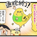 祝🎉カチョ、通院終了！ / 配信やる