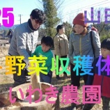 『いわき農園　冬野菜収穫体験　2025』の画像