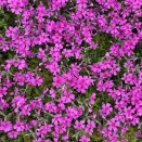 さらに暖かくなる♪