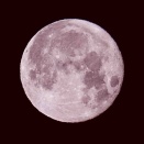 ピンクムーン