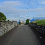 『近所の春』の画像