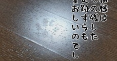 【猫との暮らし】猫様は、その残した足跡すらも、愛おしいのでして