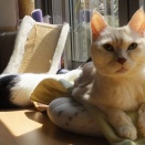 過去ブログより ☆珍しいツーショット！だけど・・・