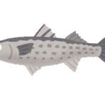 釣りまとめ速報