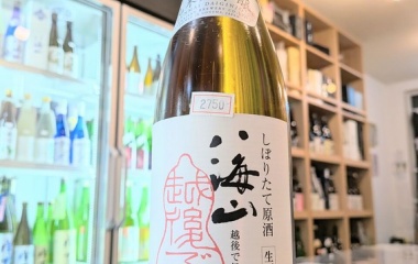 ���ߤ����ε��Ť�Ȭ�����٤β���