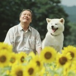 ポヨリンの映画批評