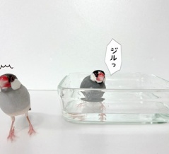 先輩からのアドバイス