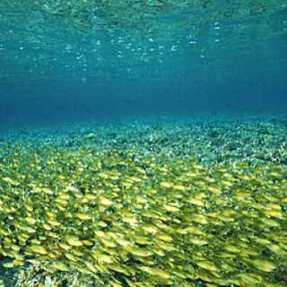 風の動物病院のブログ