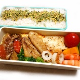 『相棒の日々の毎日のお弁当～☆ 2016/02のお弁当たち-　【7】』の画像