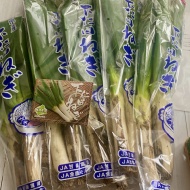 おいしすぎる〜お弁当にもおすすめな群馬県産下仁田ネギの肉巻きカツ【PR】