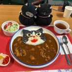 「でぶねこ」クロの一言blog