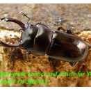 〇週末はポイント5倍＼(^o^)／