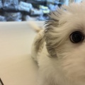 臨場感が！！！