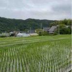 ハウジングプロモーション川田のブログ
