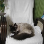 癒しの空間こころ♪