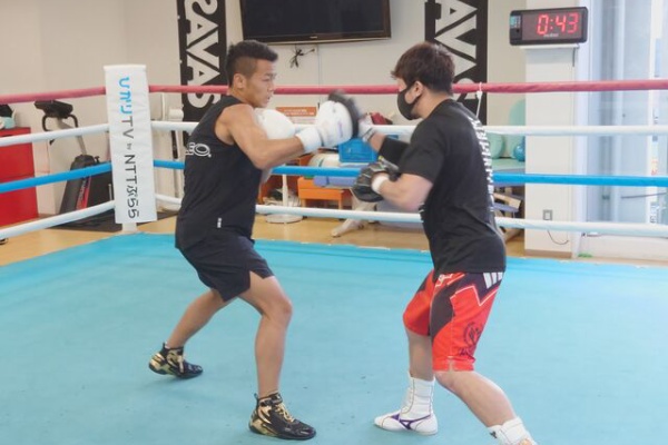 ライター茂田浩司 明るい暮らしの取材帳 格闘技