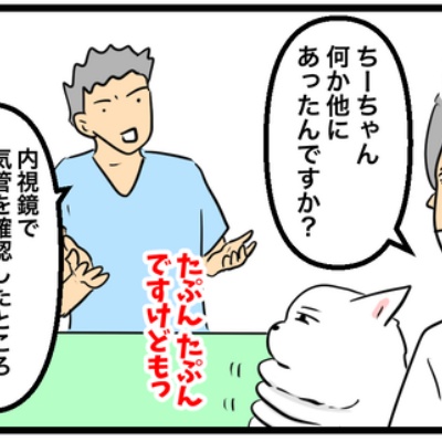 ちーちゃんっ🐾