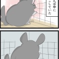 ぽんの毛に吸い込まれそう