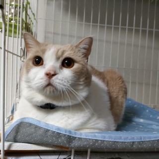 なごちゃん光ちゃんに癒されて　