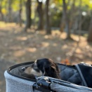 1番好きな季節かも｡