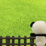 曇りのち晴れｗ