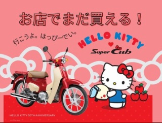 意外と人気ないのかな？　ハローキティカブ