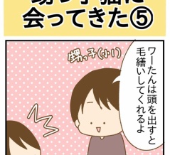 甥っ子猫に会ってきた⑤