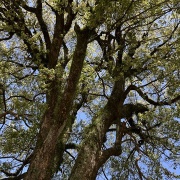 「あれ？こっちじゃなかったかな」じゃなくて。