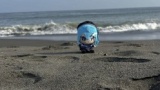 彼女と海きた！！！！！！（※画像あり）