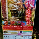 高級料亭「百楽荘」秋の庭園開放💕