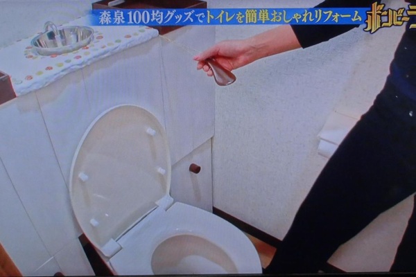 Diyナビ 森泉