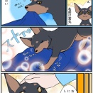 お爺ちゃん犬になって変わったこと