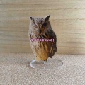 母とフクロウカフェへ☆