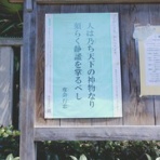 IDDM  58歳、ある日突然１型糖尿病になりました。が…