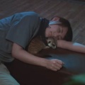閉園後の動物園　夜更かしな動物たちが、みるみる眠りに落ちていく理由